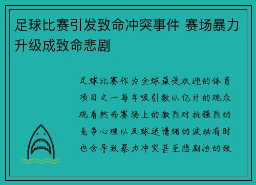 足球比赛引发致命冲突事件 赛场暴力升级成致命悲剧
