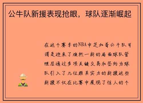公牛队新援表现抢眼，球队逐渐崛起